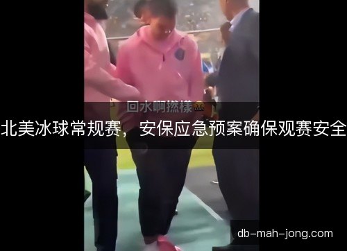 北美冰球常规赛,安保应急预案确保观赛安全 北美冰球常规赛,安保应急预案确保观赛安全